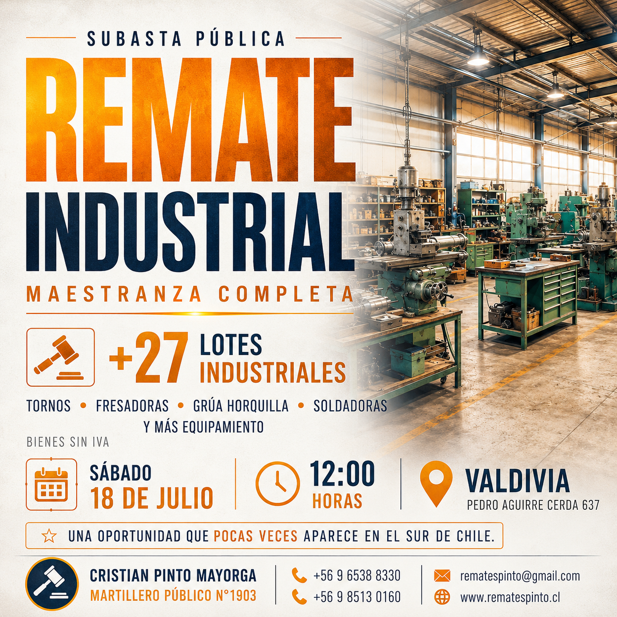 Remate en Valdivia 18 de Julio 2026